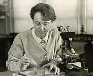 Barbara McClintock Photo #1