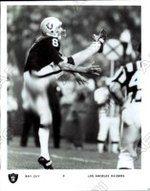 Ray Guy Photo #1