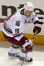 Shane Doan Photo #1