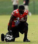 Ed Reed Photo #1