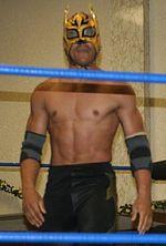 Lince Dorado Photo #1