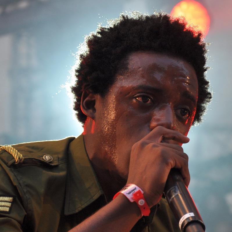 Romain Virgo Photo #1