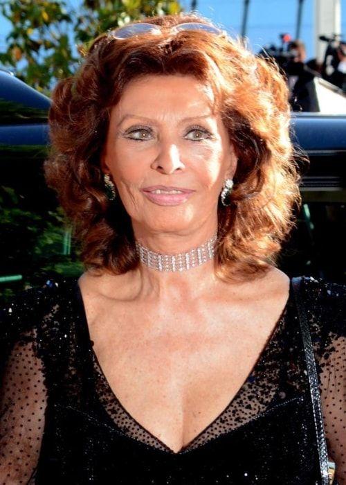 Sophia Loren Photo #1