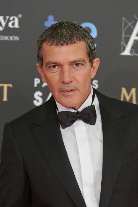 Antonio Banderas Photo #1