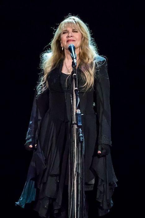 Stevie Nicks Photo #1