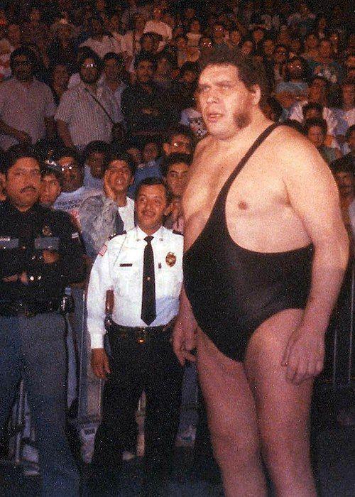 Andre the Giant Photo #1