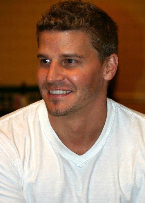 David Boreanaz Photo #1