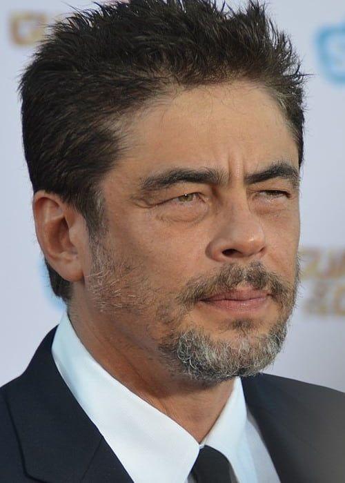 Benicio Del Toro Photo #1