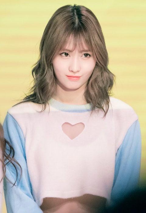 MOMO Photo #1