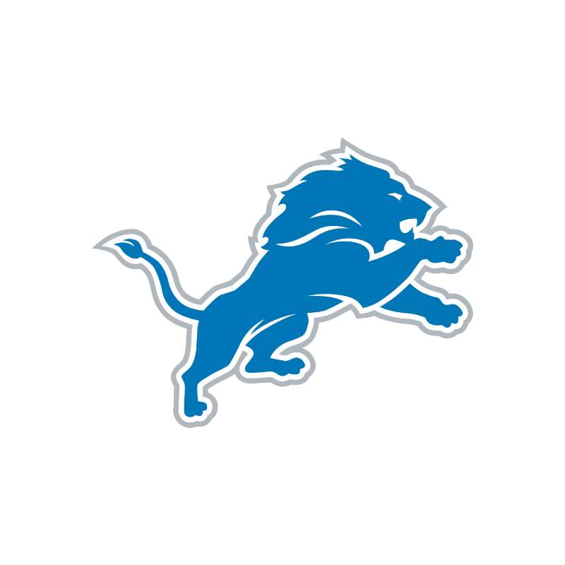 Detroit Lions Photo #1