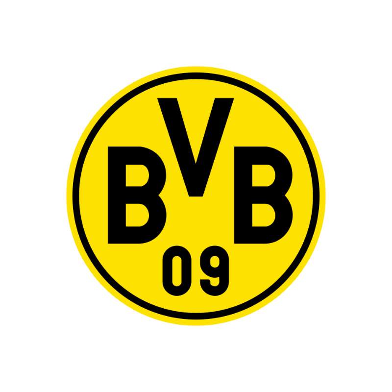 Borussia Dortmund Photo #1