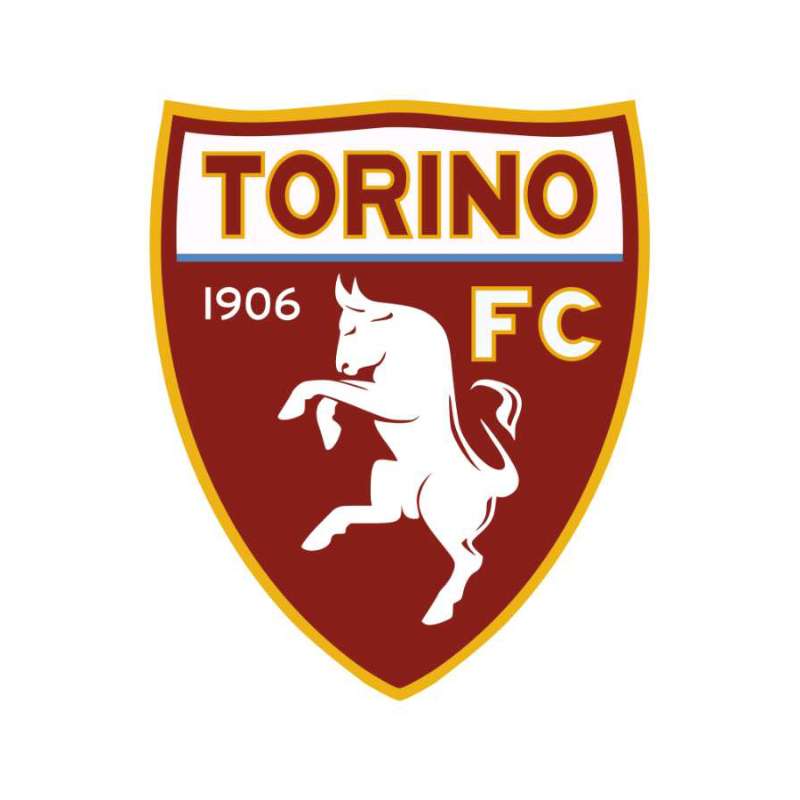 Torino FC Photo #1