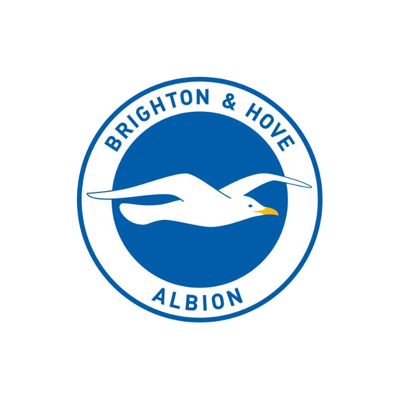 Brighton & Hove Albion Photo #1