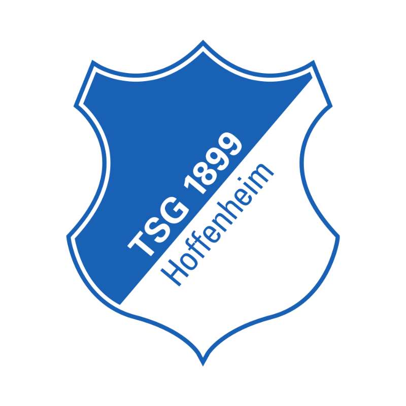 TSG 1899 Hoffenheim Photo #1