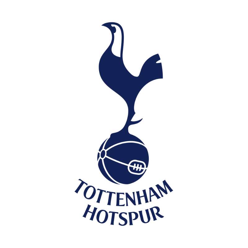 Tottenham Hotspur Photo #1