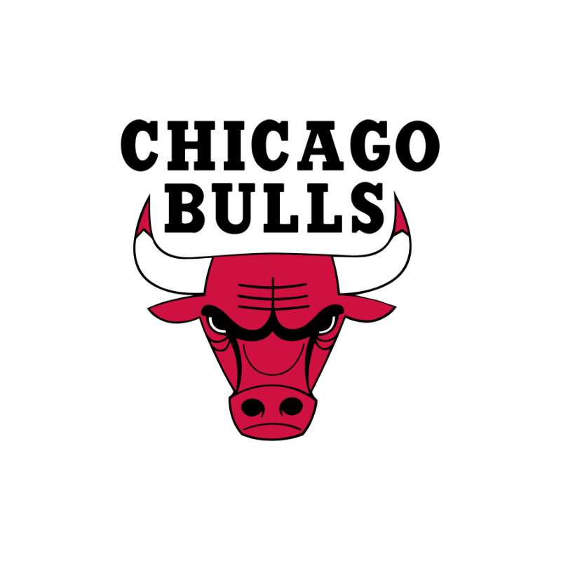 Chicago Bulls Photo #1