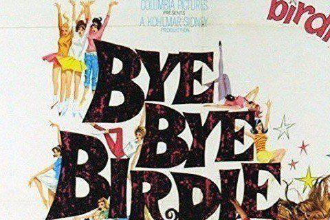 Bye Bye Birdie Photo #1