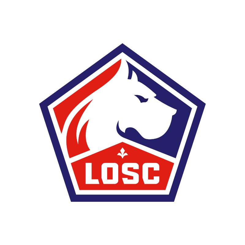 LOSC Lille Photo #1