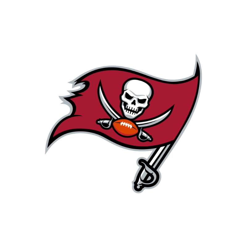 Tampa Bay Buccaneers Photo #1