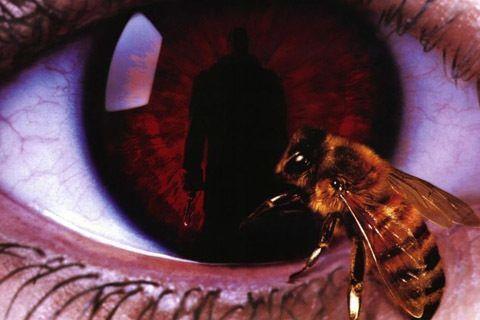 Candyman (1992) Photo #1