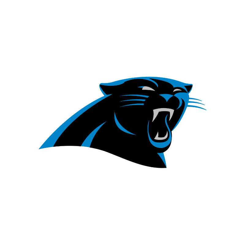 Carolina Panthers Photo #1