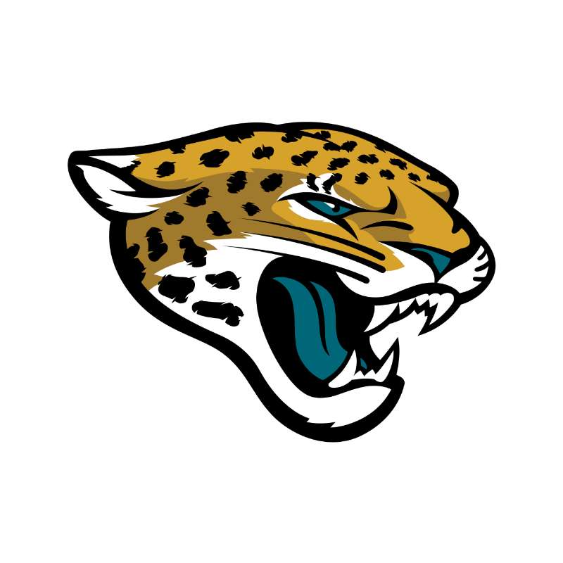 Jacksonville Jaguars Photo #1