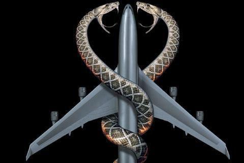 Snakes on a Plane Photo #1