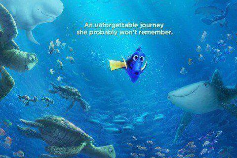 Finding Dory Photo #1