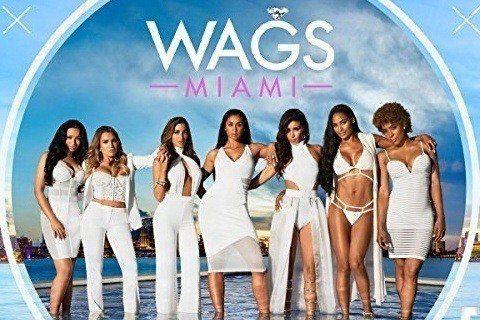 WAGS Miami Photo #1