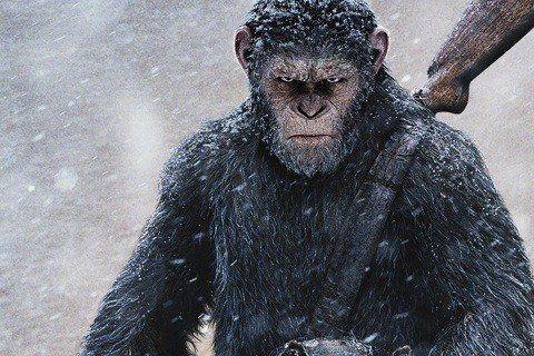 War for the Planet of the Apes Photo #1