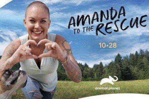 Amanda To The Rescue Photo #1