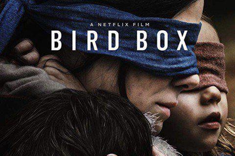 Bird Box Photo #1