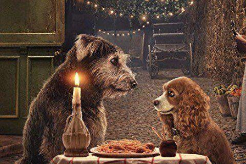 Lady and the Tramp Photo #1