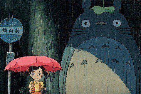 My Neighbor Totoro Photo #1