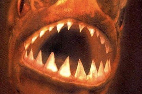 Piranha (1995) Photo #1