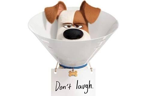 The Secret Life of Pets 2 Photo #1