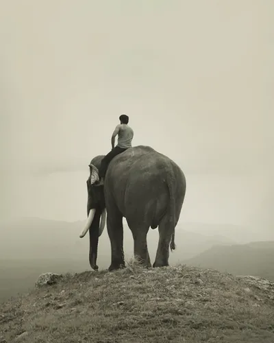 KUMKI 2 (2025) poster