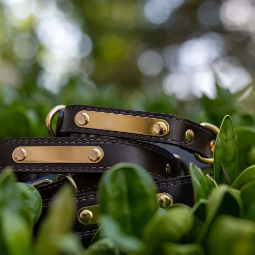 Dog Collar 24
