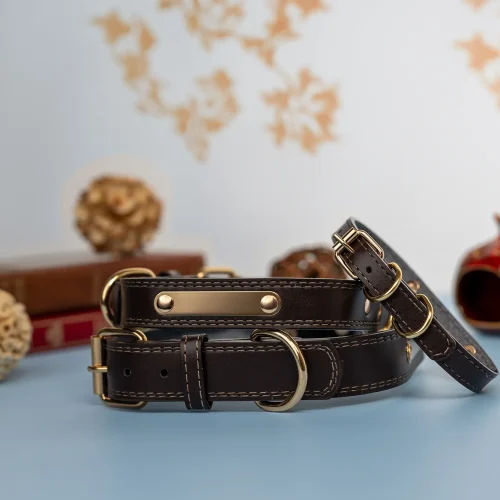 Dog Collar 9