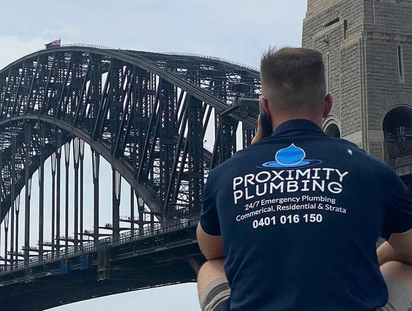 Potts Point Blocked Gutters & Downpipes Potts Point Blocked Gutters & Downpipes