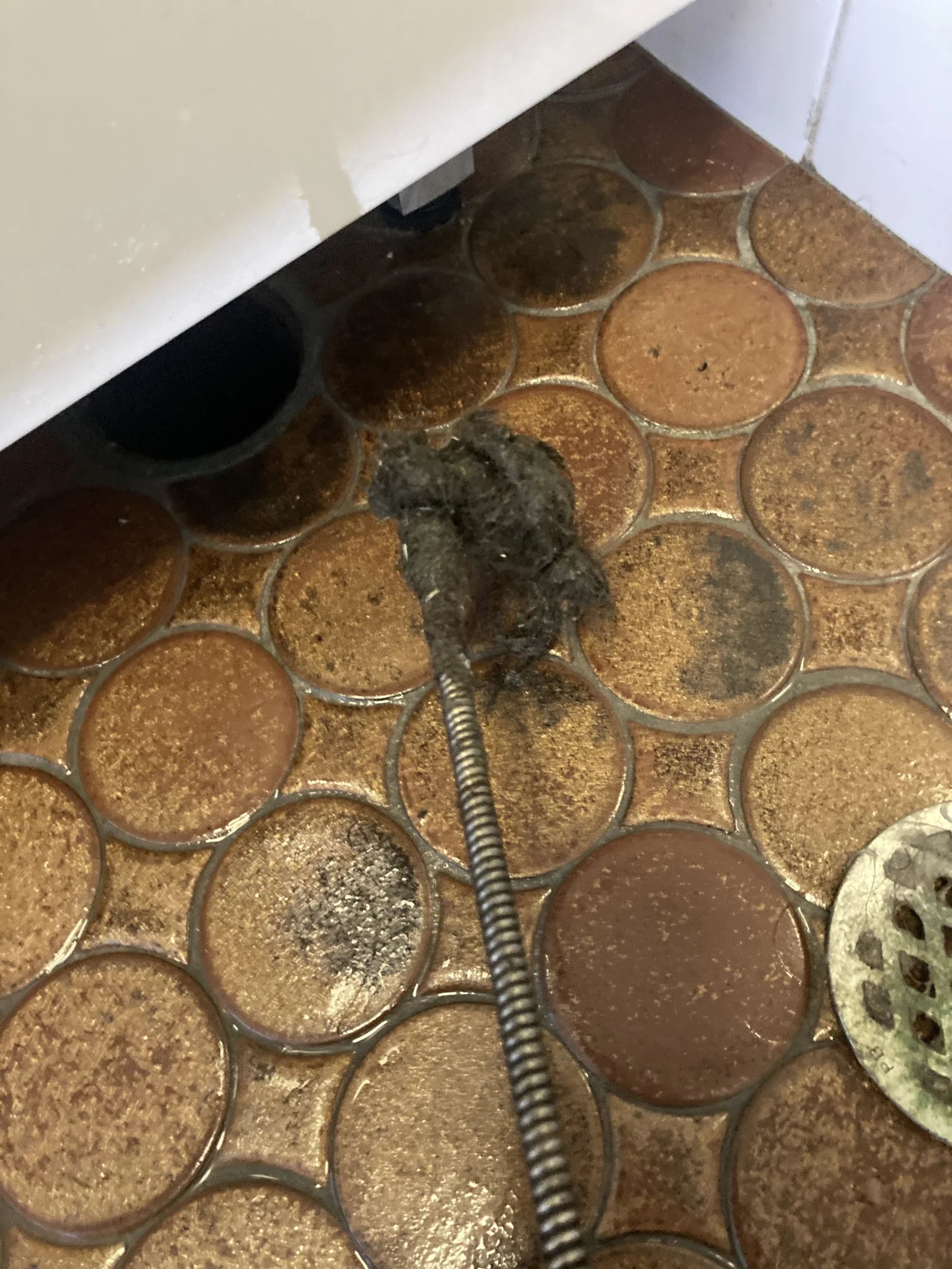Rose Bay Blocked Shower Drain Rose Bay Blocked Shower Drain