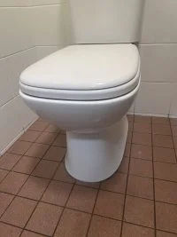 How to unclog a toilet?