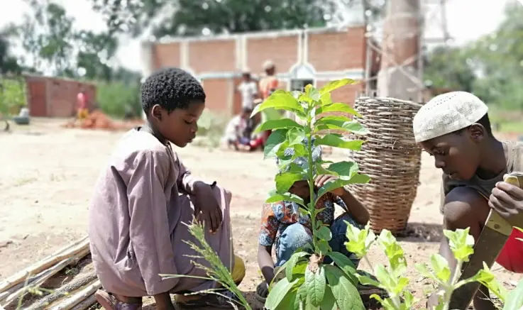 Legacy Roots: A Tree Initiative