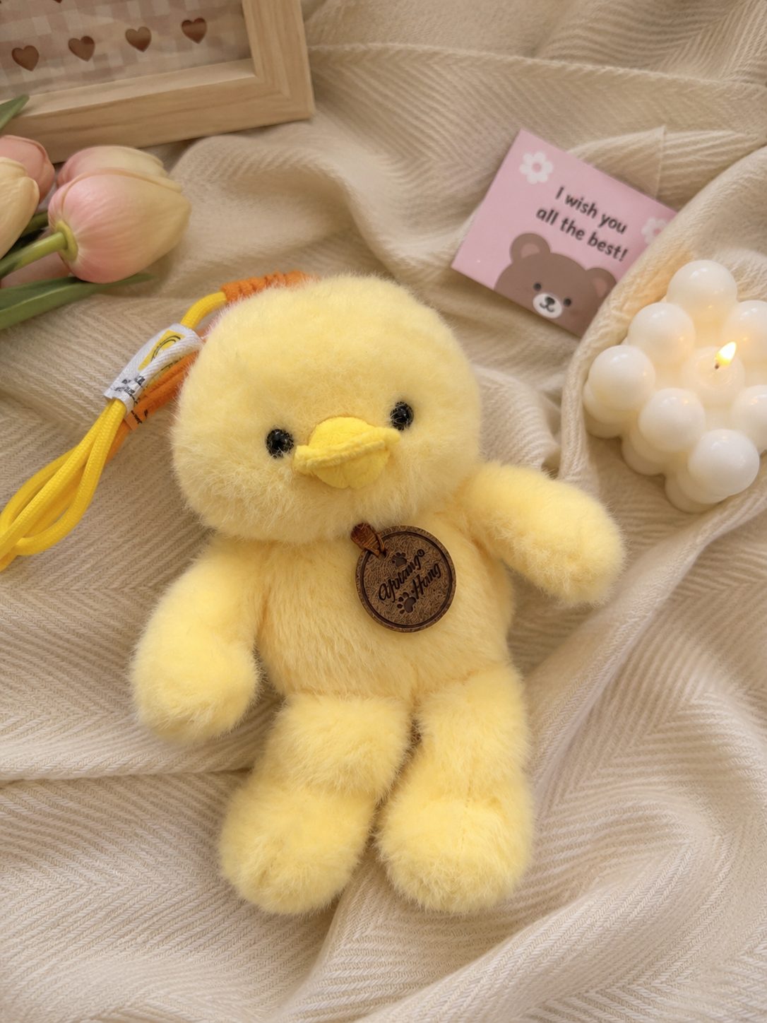 Teddy Plushie