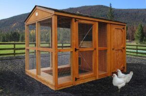 Chicken Coop 1 - Burnett Affordable Buildings