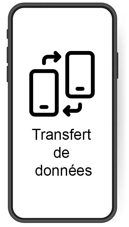 https://ik.imagekit.io/qml3d7tgz/TRANSFERT_IK_ZV4TCG.jpg