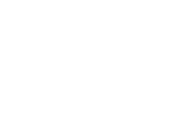 iPad Pro