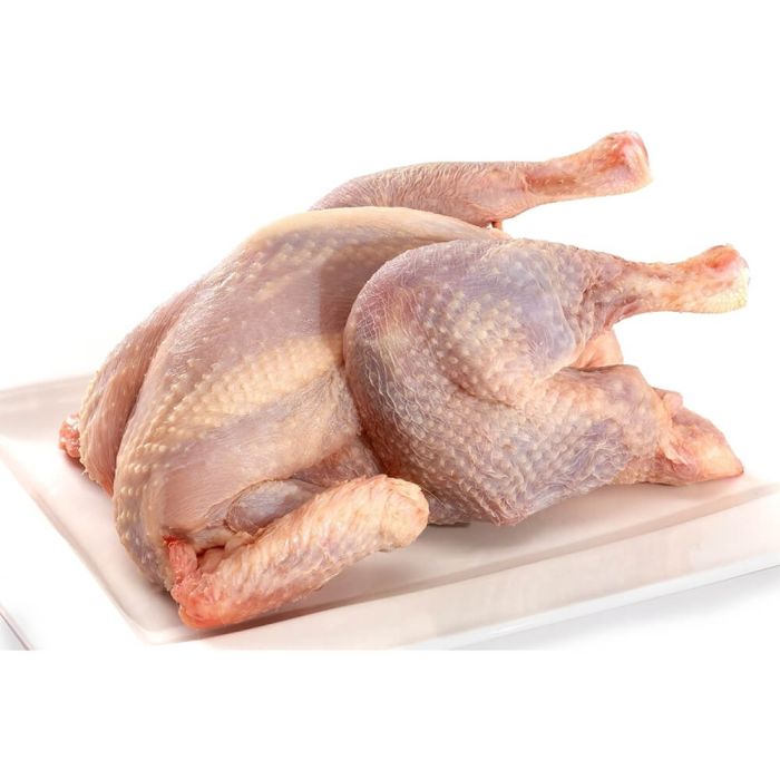 Boiler Chicken