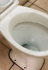 Jasa Service WC Bepengalaman
