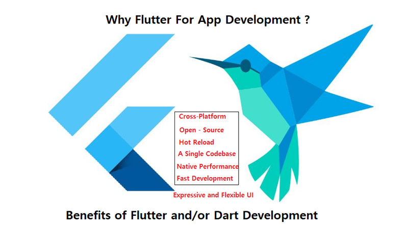 what is flutter software